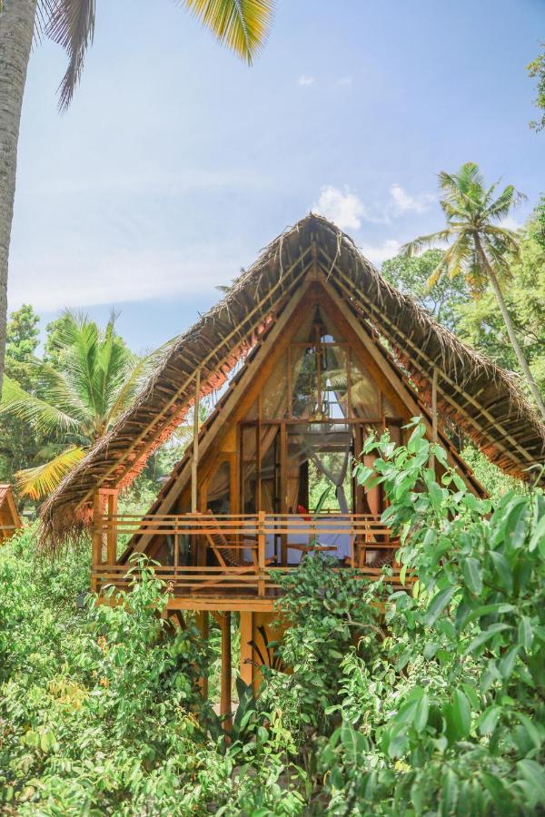 Cinnamon Paradise Nest Room Ahangama Eksteriør bilde